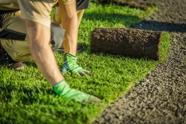 Bethelehem-Gartenbau-Landschaftsbau-Titelbild-2