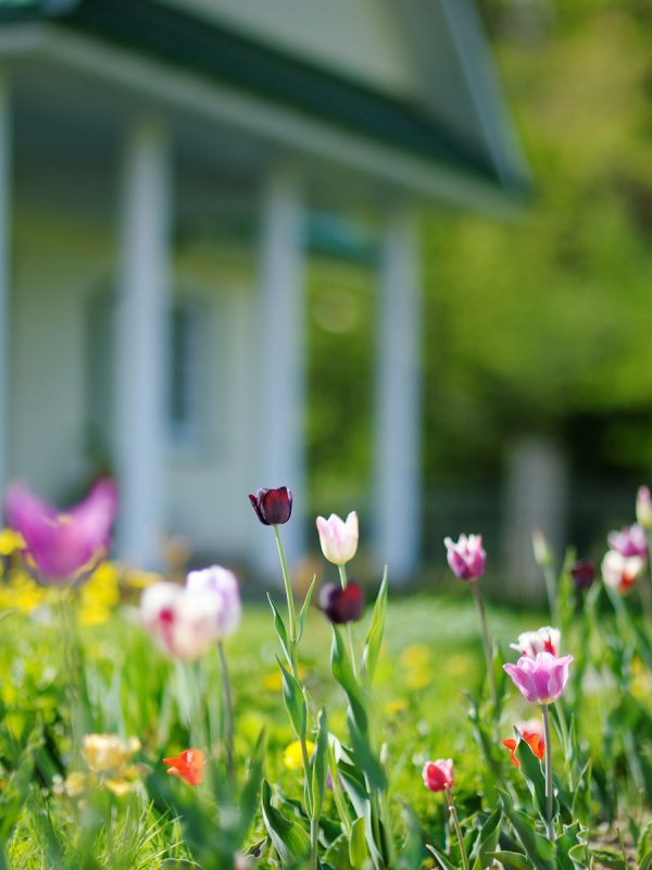 Bethlehem-Gartenbau-fruehling